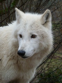 Janvier Février 2012 (3)
