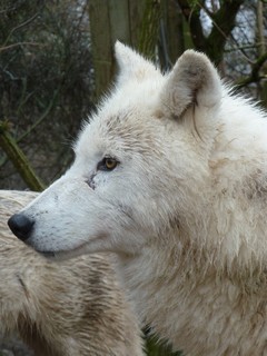 Janvier Février 2012 (4)