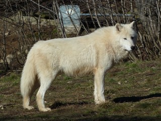 Octobre Novembre Décembre 2012 (2)