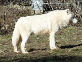 Octobre Novembre Décembre 2012 (3)